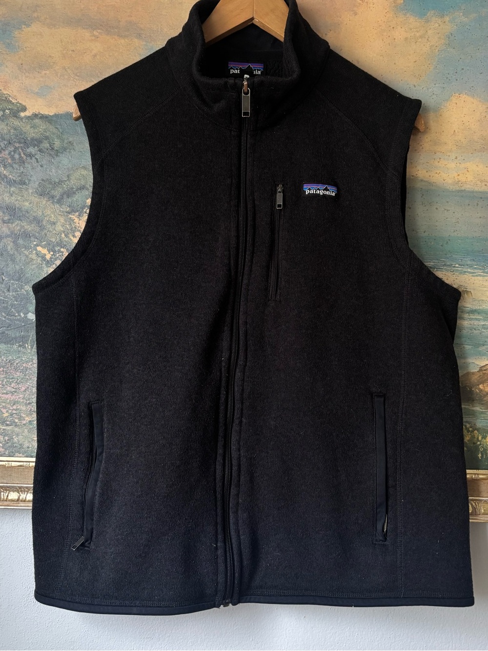 Patagonia Black Men's Better Sweater Vest